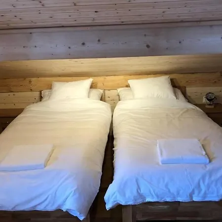 Apartment Saaner Mountain Home. Gsteig